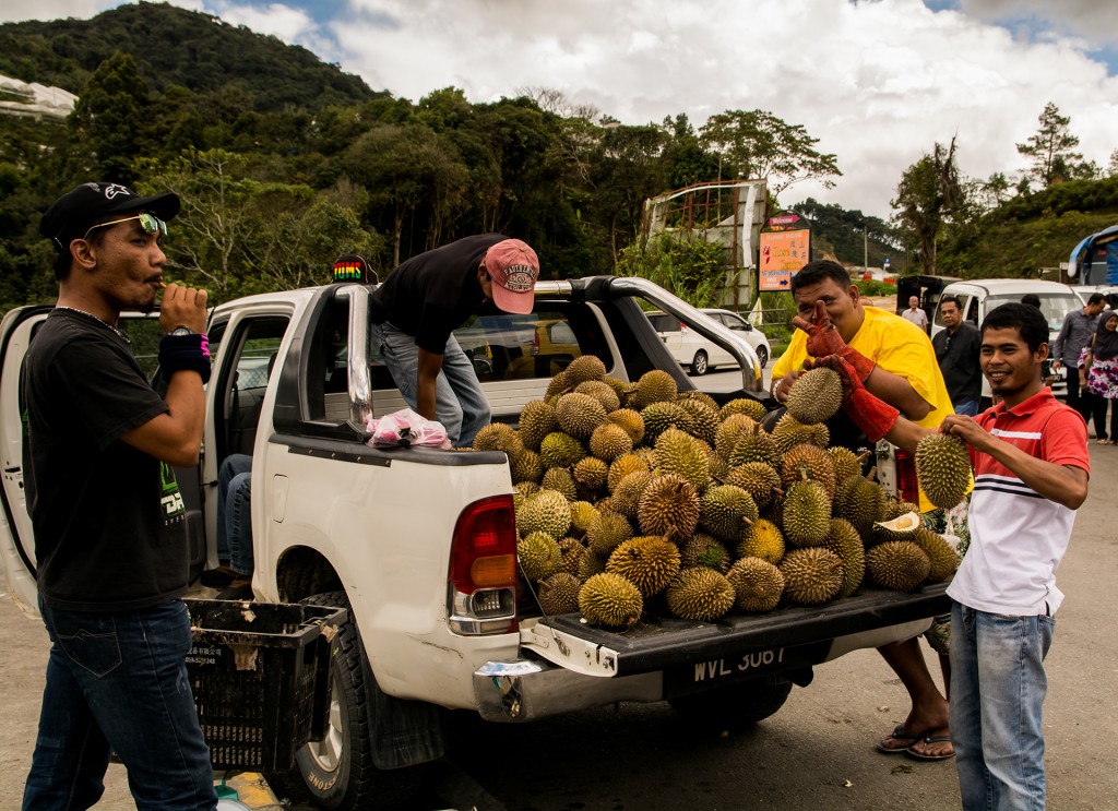 Duriany w Malezji