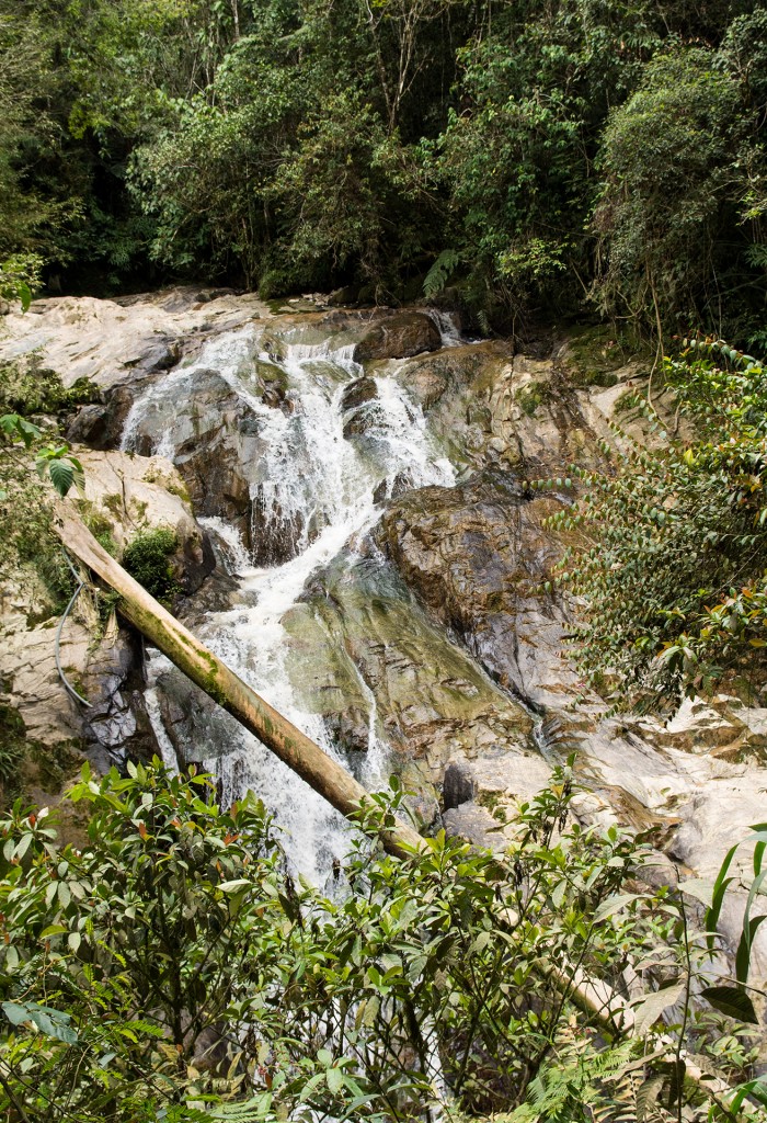 Wodospad Robinson Falls