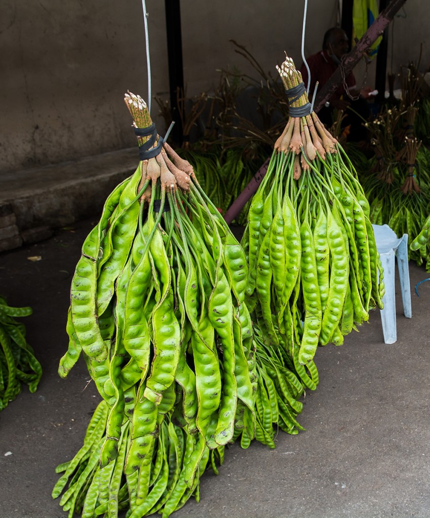 Trochę grochu z Bidor