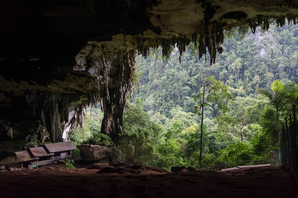 Widok z głównego wejścia do jaskiń Niah Caves