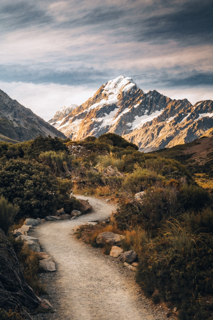 Ścieżka prowadząca do lodowca Hooker