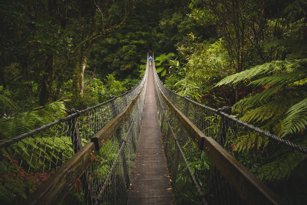 Most linowy w Kaitoke Regional Park
