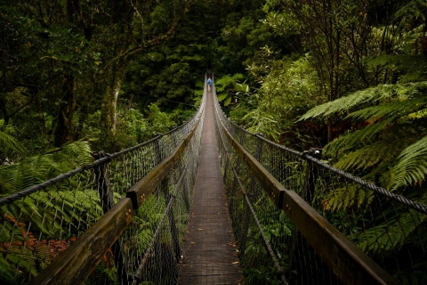 Most linowy w Kaitoke Regional Park