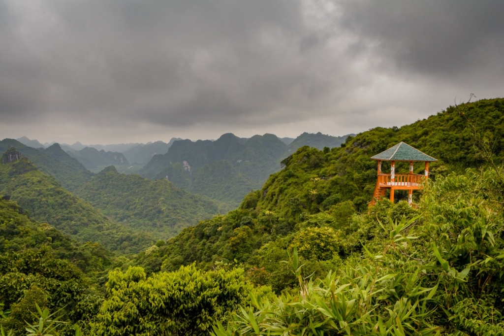 W drodze na szczyt Ngu Lam