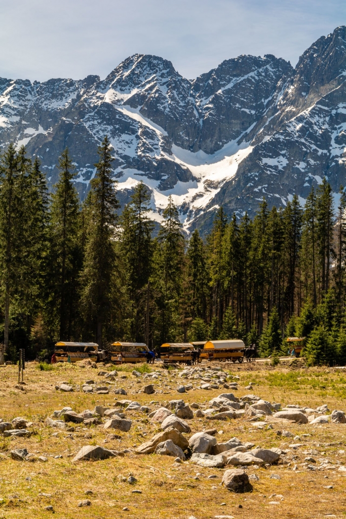 Bryczki na trasie do Morskiego Oka