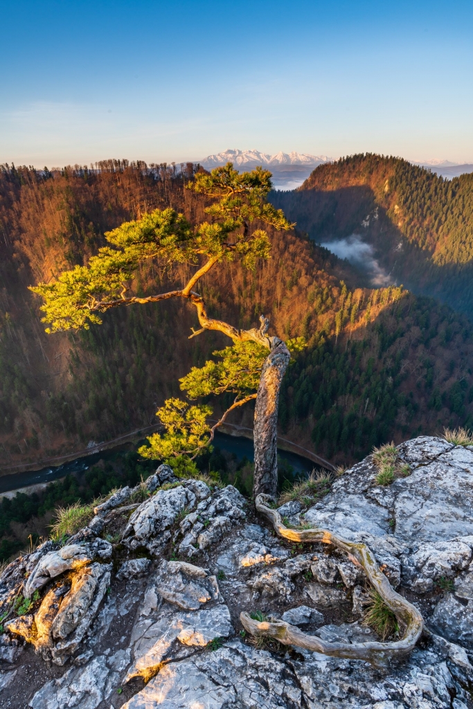 Widok ze szczytu Sokolicy