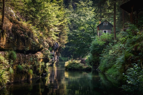 Piękny domek w otoczeniu zielonego lasu