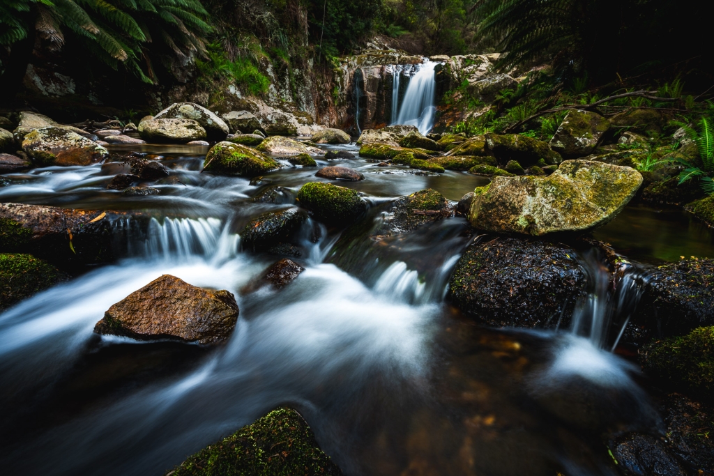 Jeden z wielu wodospadów na Tasmanii